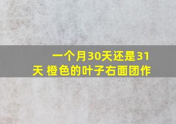 一个月30天还是31天 橙色的叶子右面团作